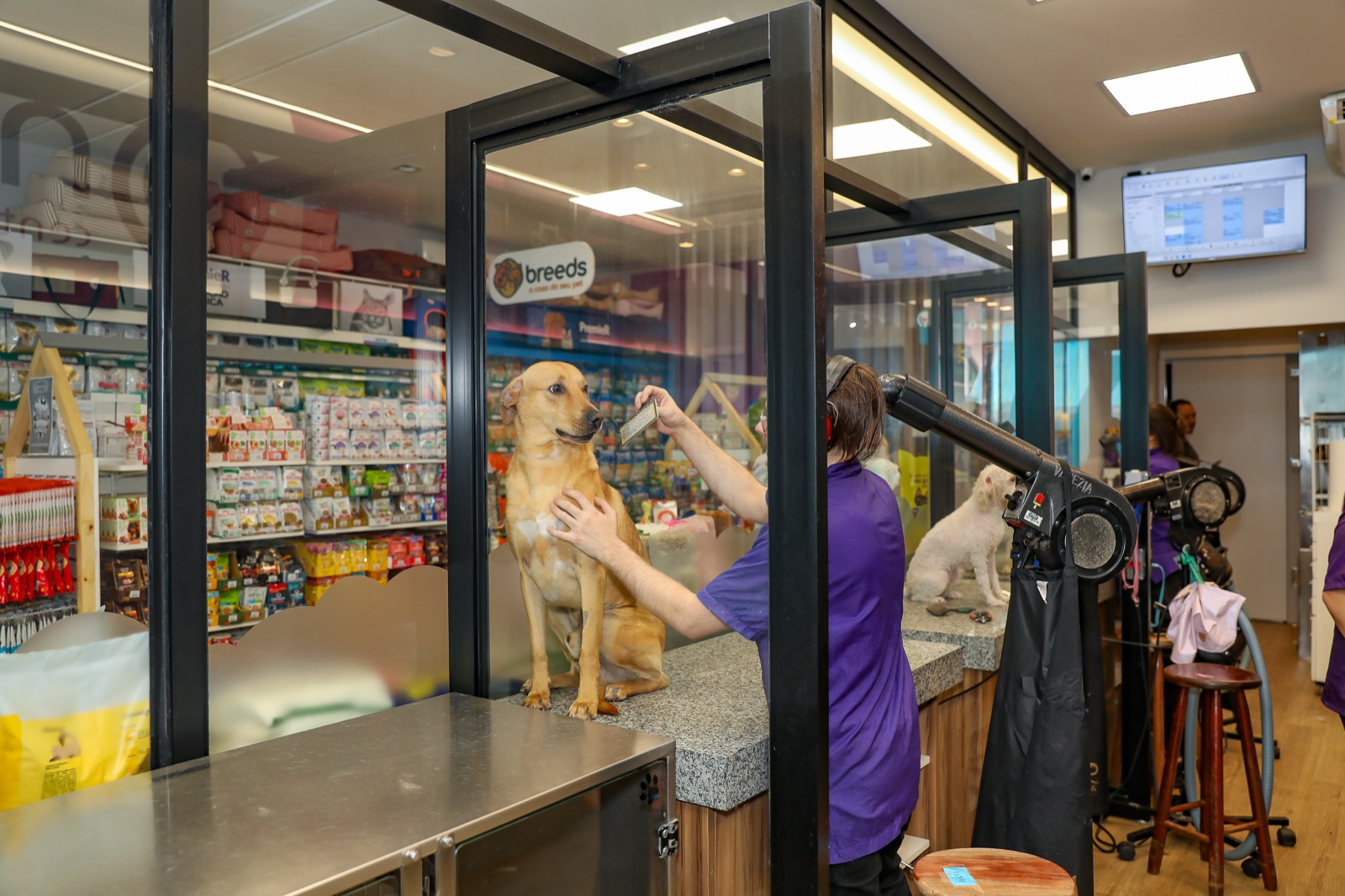 Centro de Estética NAVE Tatuapé: equipe cuidando de um cão